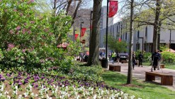 Greener Blocks Mean Less Crime: Study