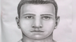 Alleged Park Masturbator Arrested, ID'd