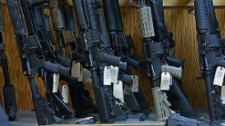 NJ Assembly Gives Final Passage to 3 Gun Bills