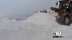 Mild Winter May Mean a Terrible Spring