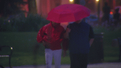 Storm Shatters Rainfall Record