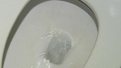 Man Tries to Flush 3 Kilos: Police