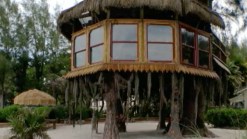 Tree House Trouble