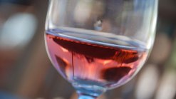 Fall Wine Festival on Camden Waterfront