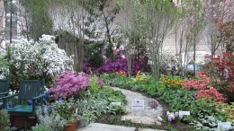 2013_flower_show-113