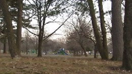 Rapist Targets 1 Woman, 3 Minors: Cops 