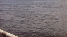 2 Men Rescued After Boat Runs Aground 