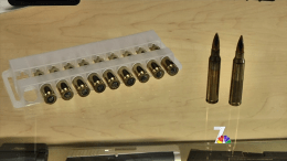 Guns Used in Colorado Shooting Easily Obtained