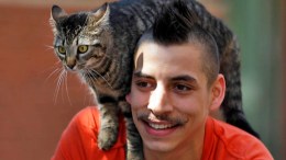 Have Cat, Will Bike