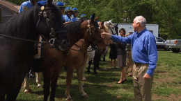 Activists Want Congress to Ban Horse Meat as Food