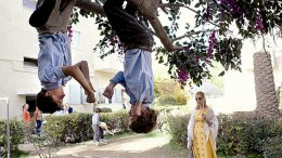 Weekly Entertainment Guide
