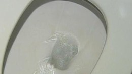 Man Tries to Flush 3 Kilos: Police