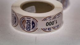 Controversy Over Voter ID Laws Pushes On