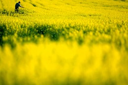 Celebrate Earth Day With Earthy Events