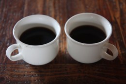 Coming Soon: Nation's First Topless Coffee Shop?