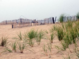 Supreme Court to Hear Beach Dune Case