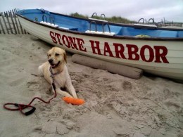 Stone Harbor: N.J.'s Best Kept Secret