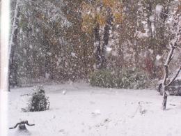 "Hurricane" Previews Winter Forecast -- Cold Or Warm?