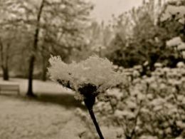 snow-northeast-weather