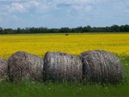 Pa. Man Dies Unloading Hay