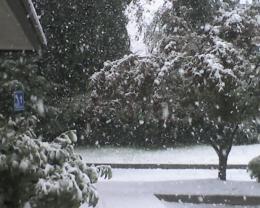 Say it Ain't Snow