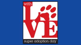 Super Adoption Day