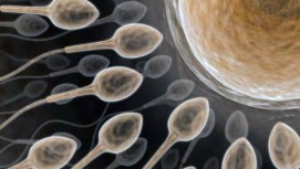 Couple Claims Sperm Bank Slipped Up