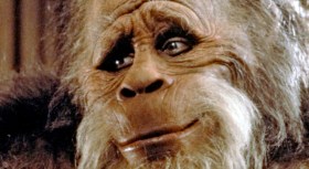 I "Almost Hit Sasquatch"