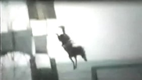 Return of Diving Horses Sparks Controversy