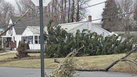 High Winds Blow Across Area Causing Damage