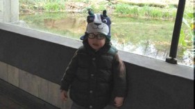 Mom Watched Helplessly as Son Was Mauled