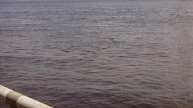 2 Men Rescued After Boat Runs Aground 