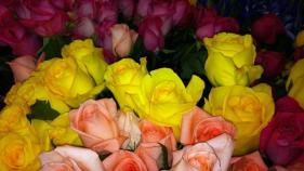 Love Is in the Air at Area Flower Shops on V-Day