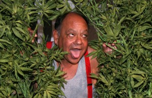 Cheech Marin is sure to be celebrating the news.