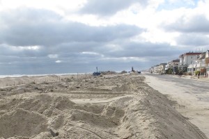 Flocking Back to the Shore?