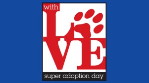 Super Adoption Day