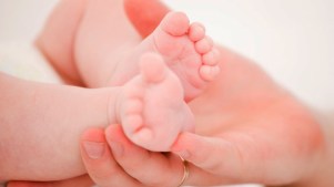 Bucksco Lab to Develop Drug for Premature Infants