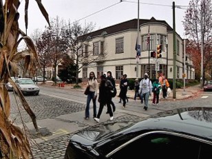 Survival of the Fittest on Chestnut Hill