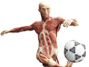 See Some "Body"