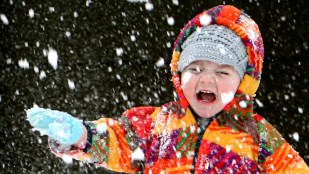 School Closings, Delays