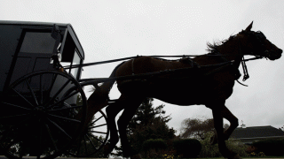 Crimes on the Rise in Amish Communities