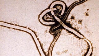 Camden County Ebola Training Information