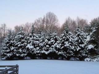 Look Out for Foot of Snow in Northwest Pennsylvania
