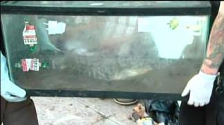 "Bizarre" Case of Animal Hoarding In South Philly