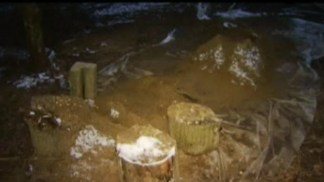 Police Investigate Double Murder in Buena