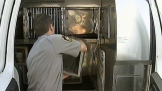 Cat Hoarding Bust in Northeast Philly