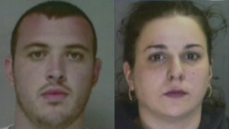 Chesco Couple Accused of Running Dog-Fighting Operation