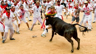Ari & Peter's Running of the Bulls