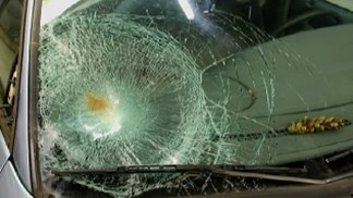 Police Search for Victim in Mystery Hit-and-Run