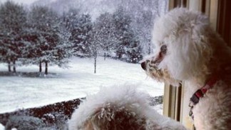 Your Snow Photos